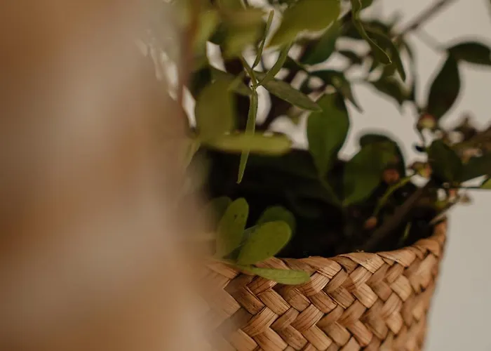 Simiu With Private Swimming Pool Айя-Анна